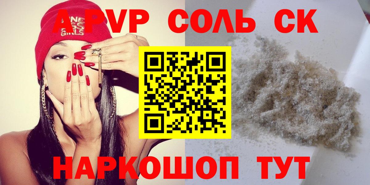A PVP СК КРИС Петропавловск-Камчатский