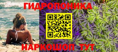 дживик Кандалакша