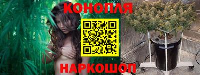 дживик Камышлов