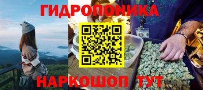 дживик Камышлов