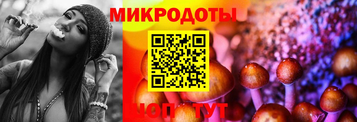 Псилоцибиновые грибы мухоморы  Вход с VPN  Петропавловск-Камчатский  Галлюциногенные грибы мицелий 