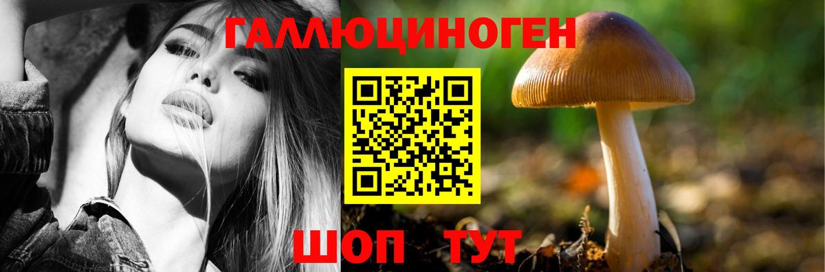 Псилоцибиновые грибы Magic Shrooms Петропавловск-Камчатский